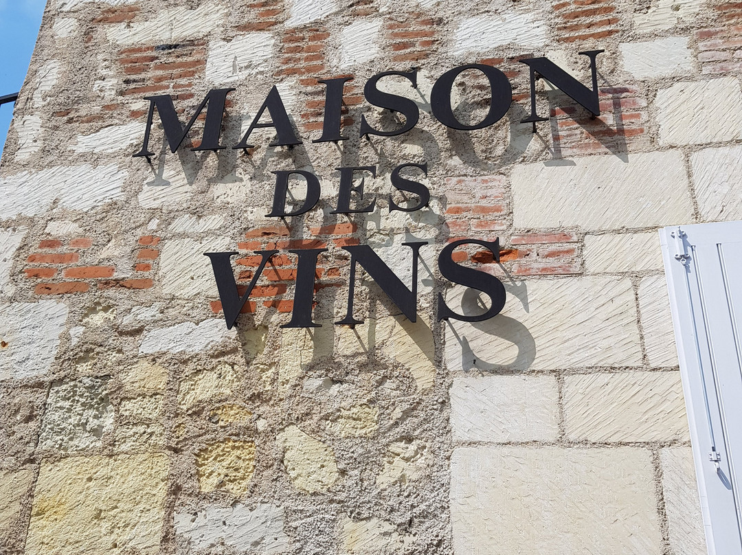 Maison des Vins de Bourgueil景点图片