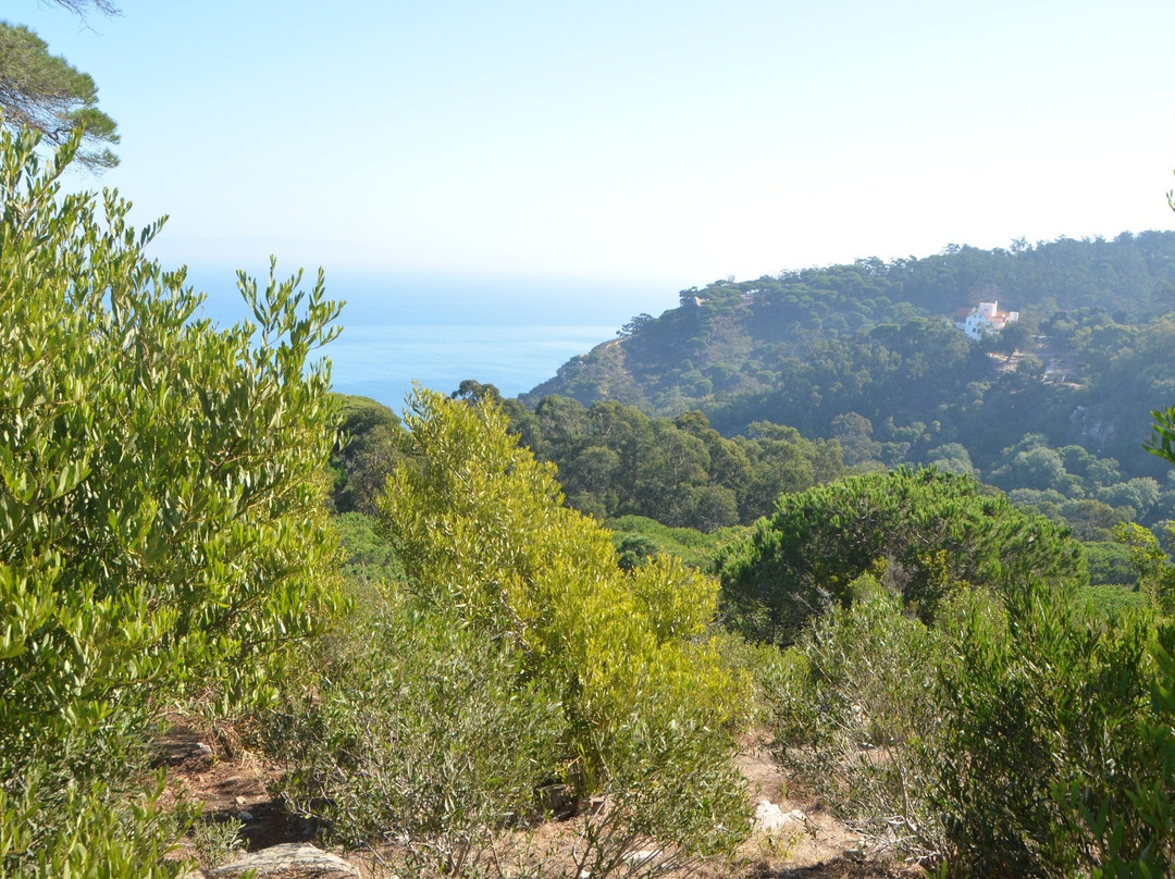 Tangier Tour Guide - Hamid Ben-丹吉尔必去景点