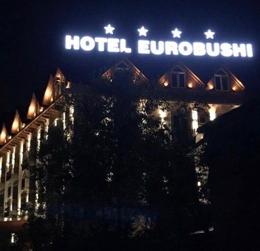 Eurobushi Hotel-浴室