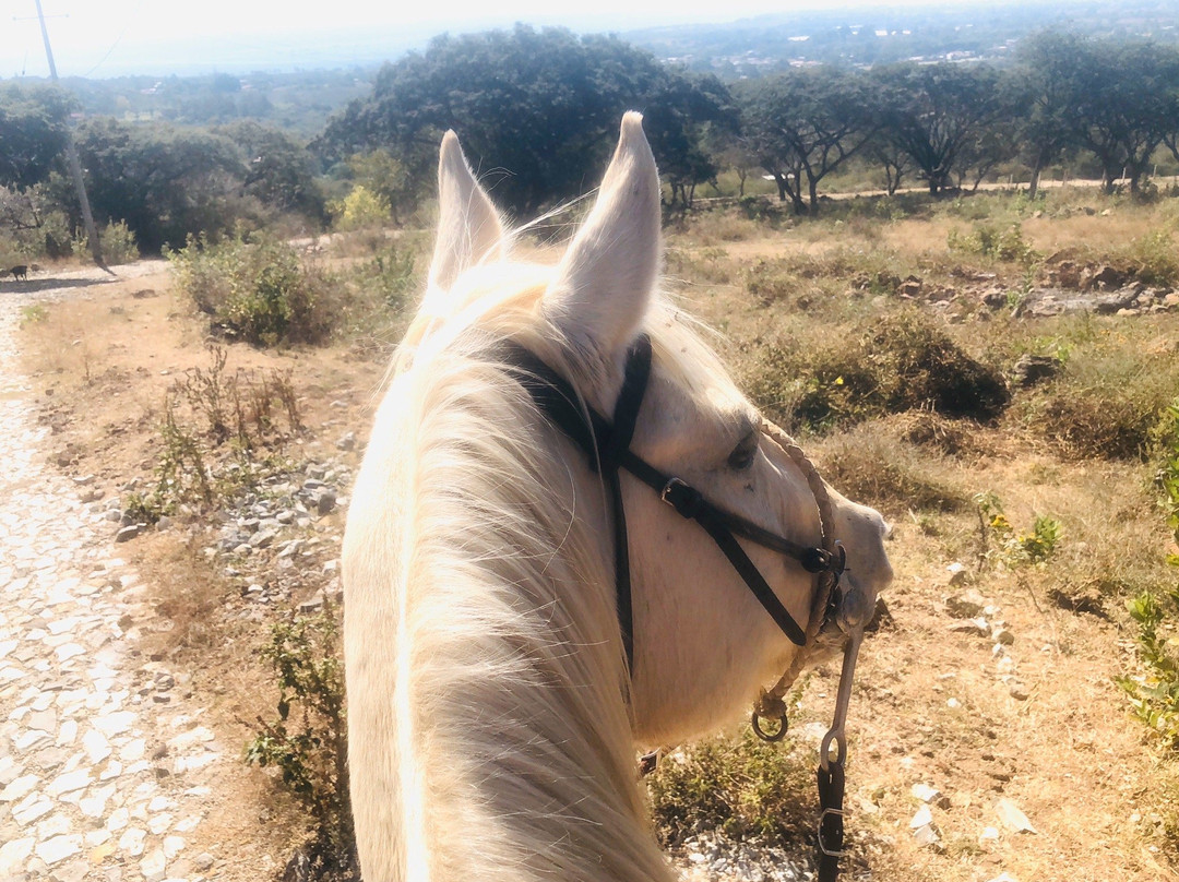 Rancho San Francisco-Chapala必去景点