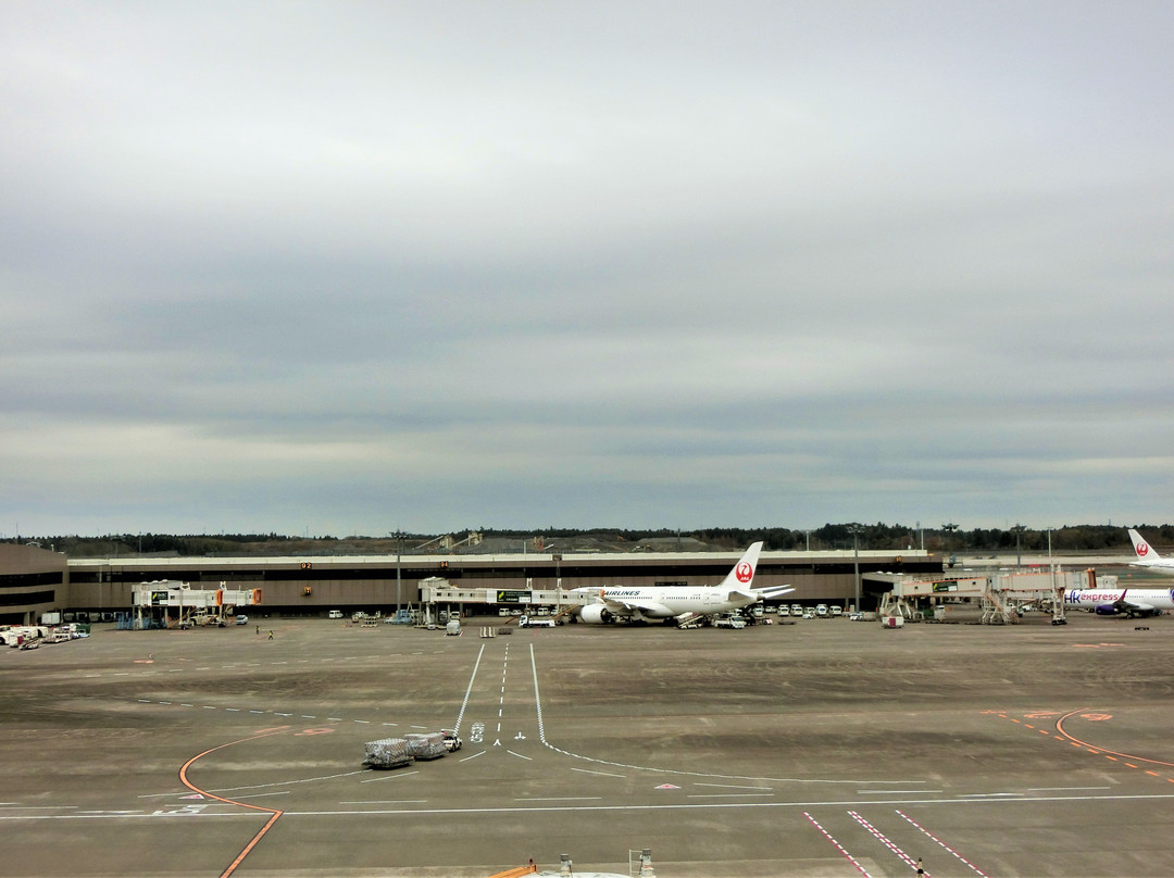 Observation Deck at Narita Airport Terminal 2-成田市必去景点