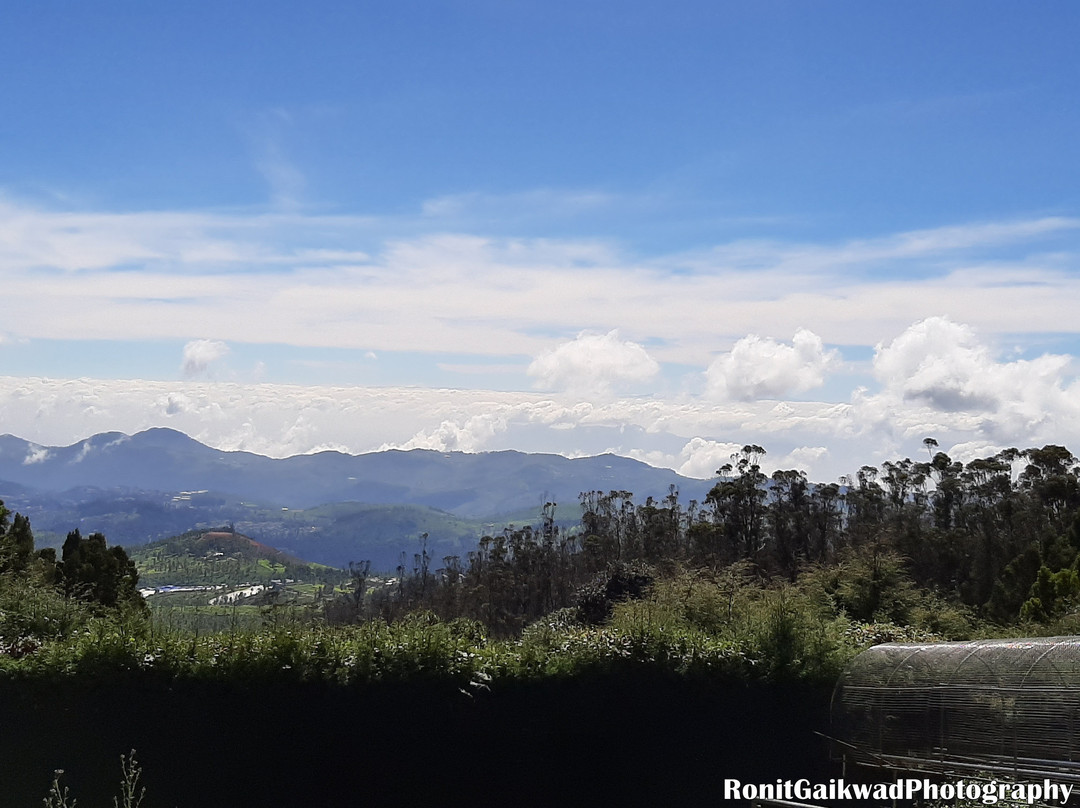 Doddabetta Peak景点图片