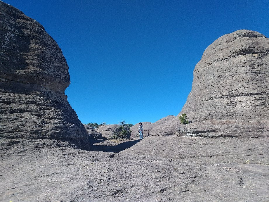 Mexiquillo-Pueblo Nuevo必去景点