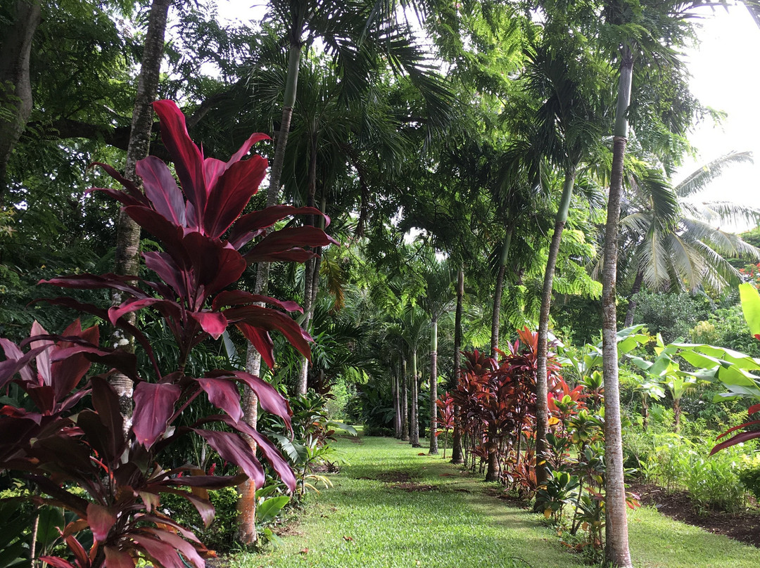 Maire Nui Gardens & Cafe景点图片