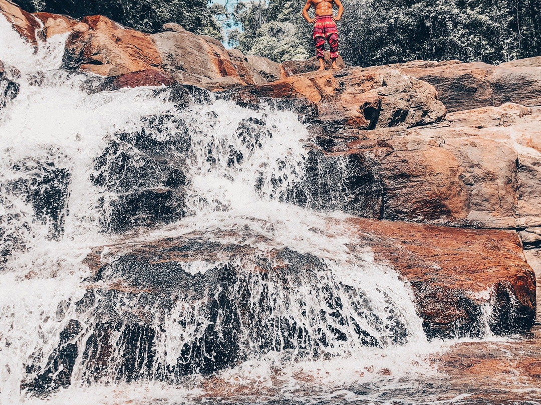 Kanneliya Rain Forest Reserve景点图片