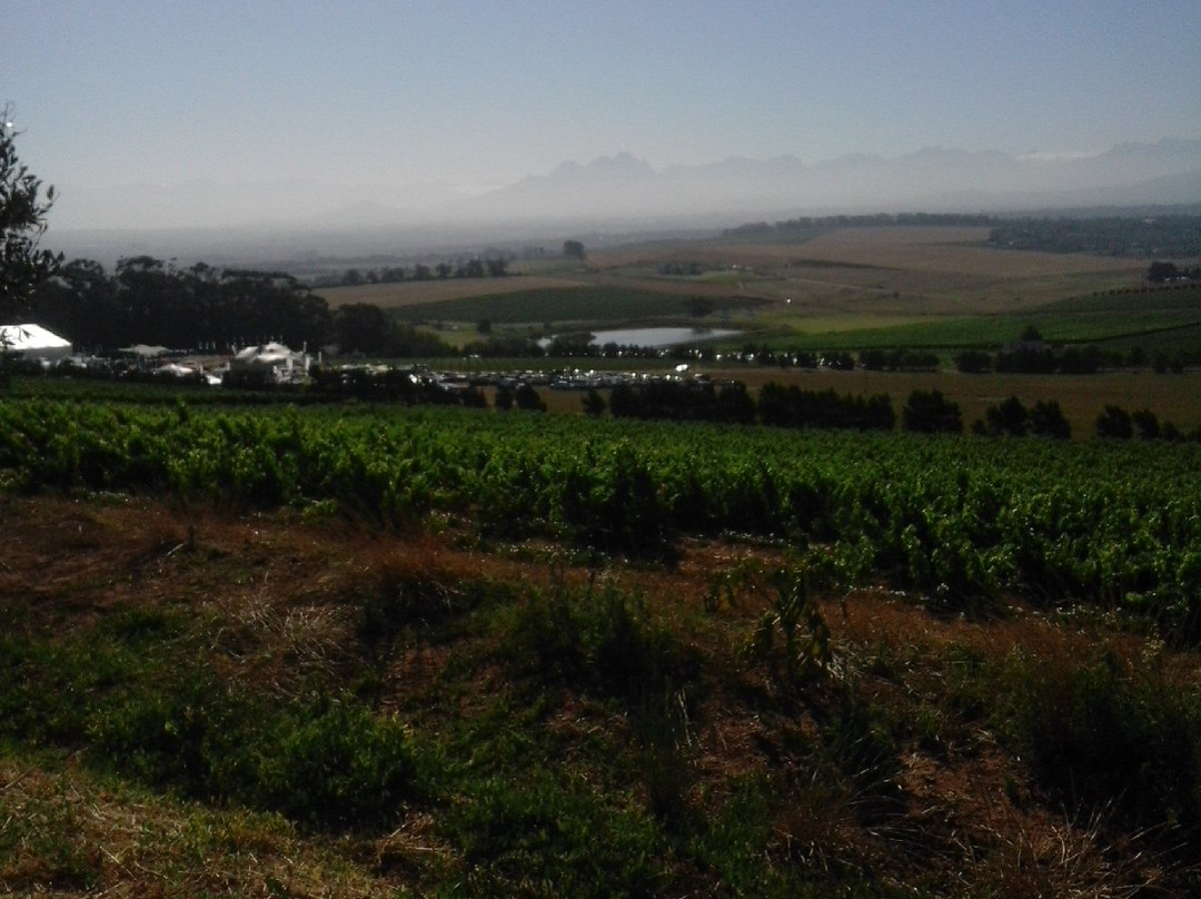 Meerendal Wine Estate景点图片