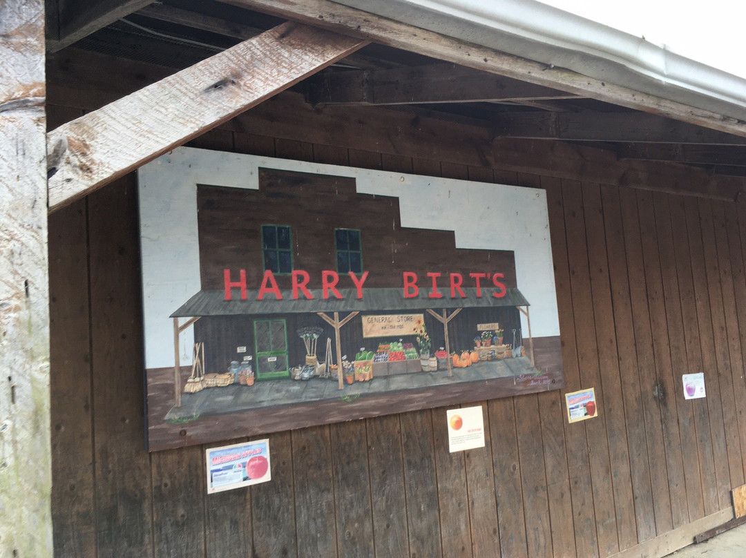 Harry Birt's Store景点图片
