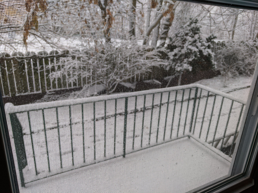 莫法特酒店主图