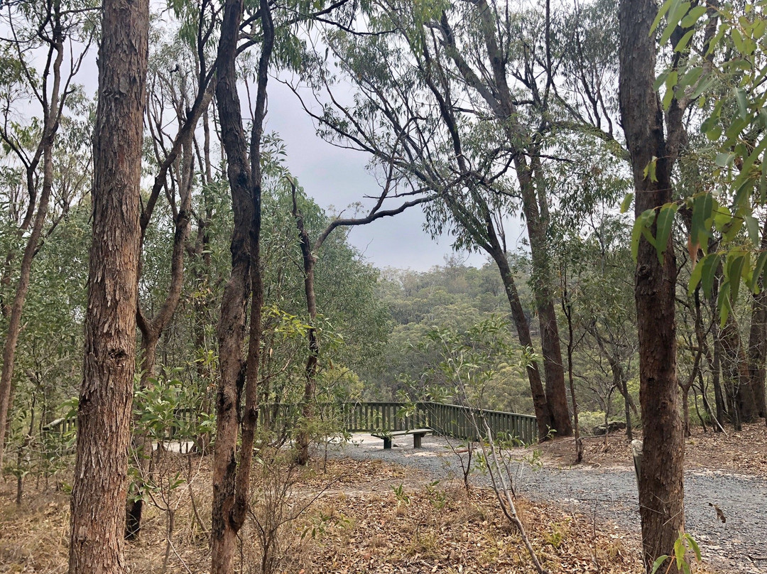 Springwood Conservation Park景点图片