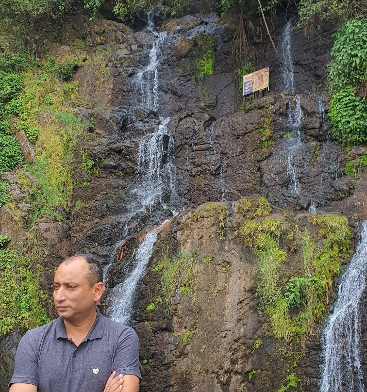Valanjamkanam Water Falls景点图片