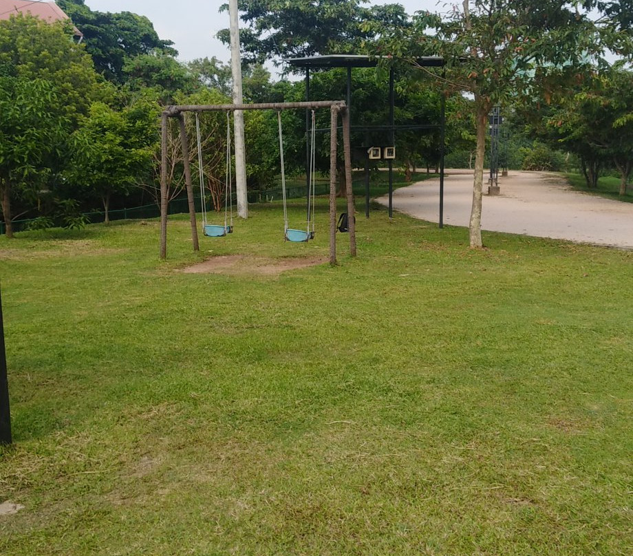 Urban Wetland Park景点图片