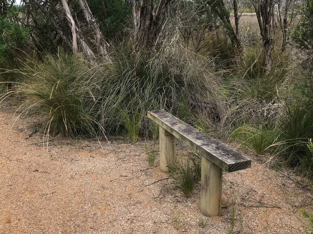 Port Franklin Boardwalk-Port Franklin必去景点