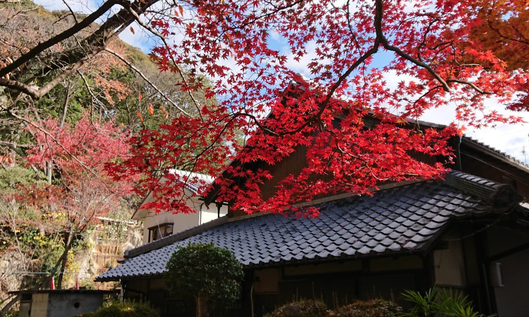 Shishikutsuji Temple-交野市必去景点