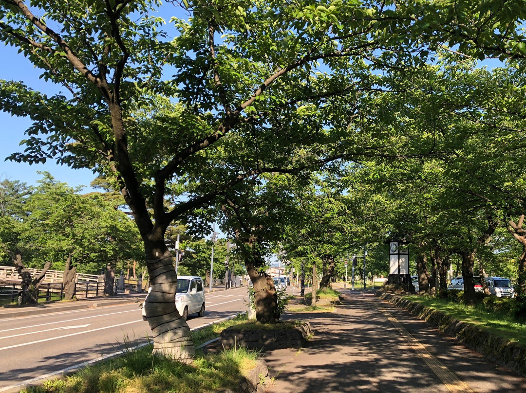 Takada Park景点图片