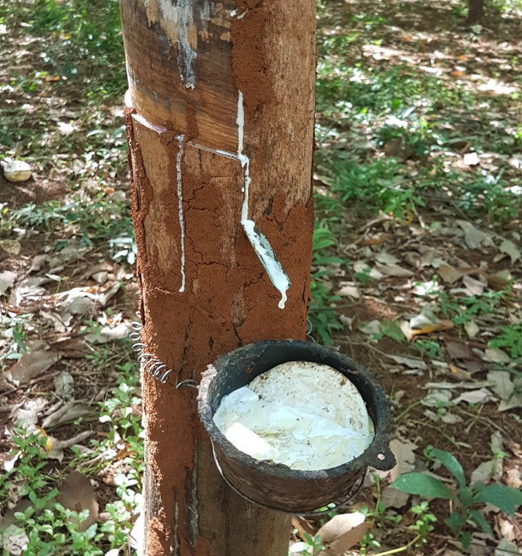 laem Son Beach-玛岛必去景点
