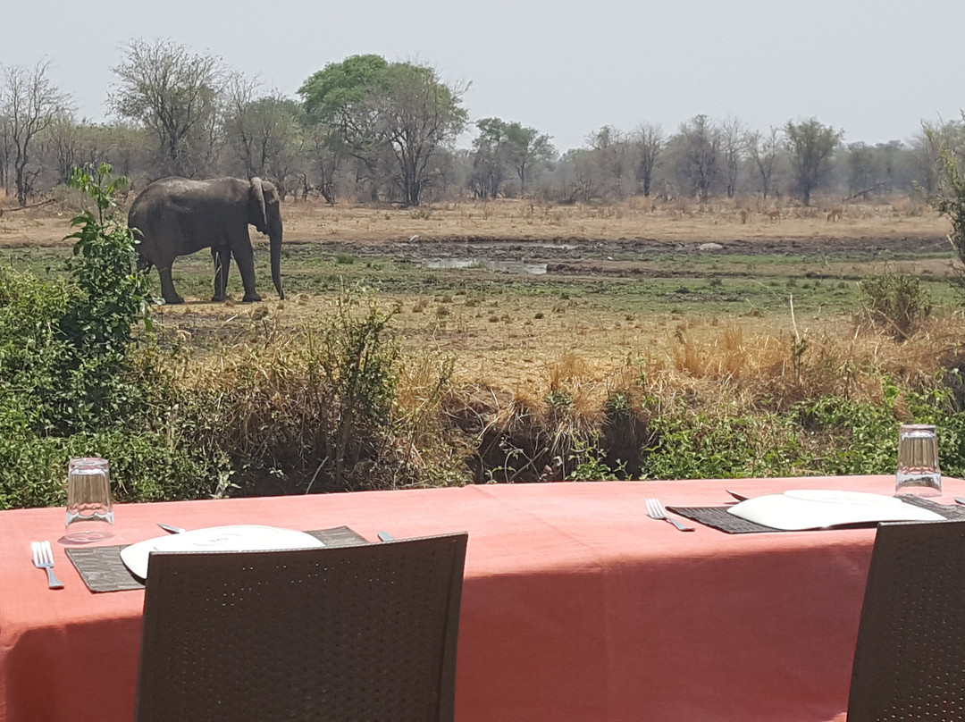 Mikango Safari-南卢安瓜国家公园必去景点