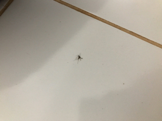 Executive Hotel主图