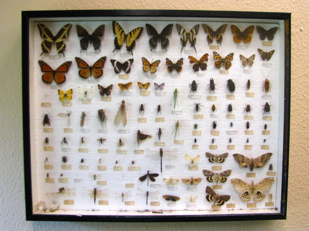 Mosquito Hill Nature Center-New London必去景点