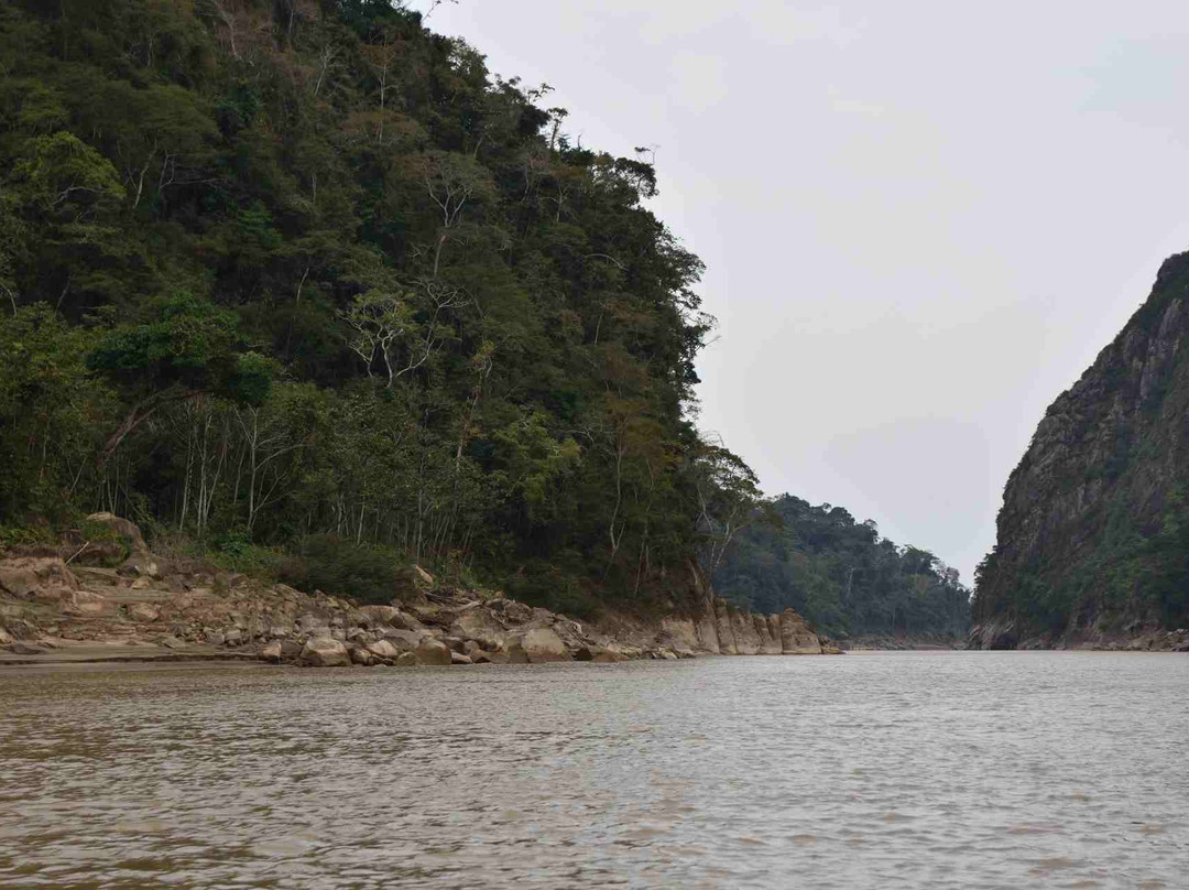 Madidi Expeditions - One Day Private Tours景点图片