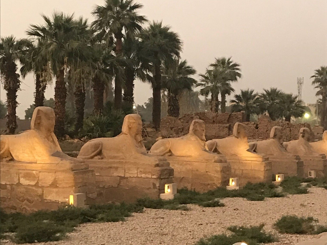 Blue Tours Egypt-亚斯文必去景点