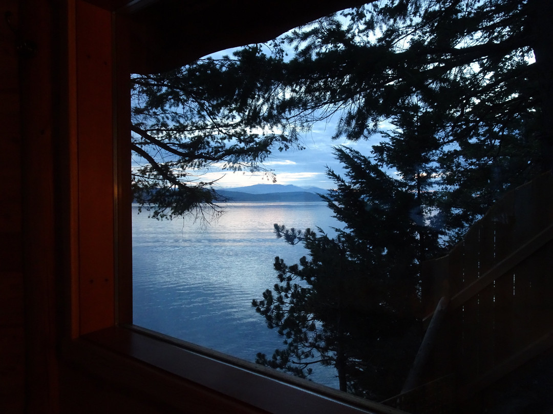 Treehouse Bed & Breakfast主图