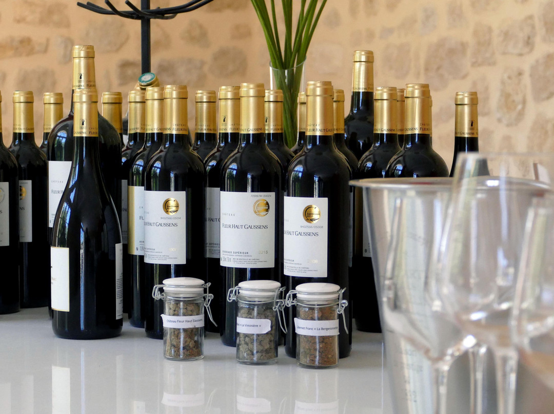 Château Fleur Haut Gaussens景点图片