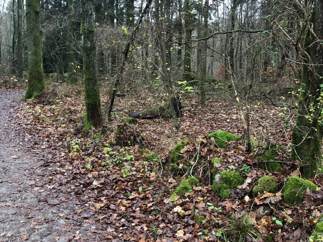 Skrylle Nature reserve-隆德必去景点