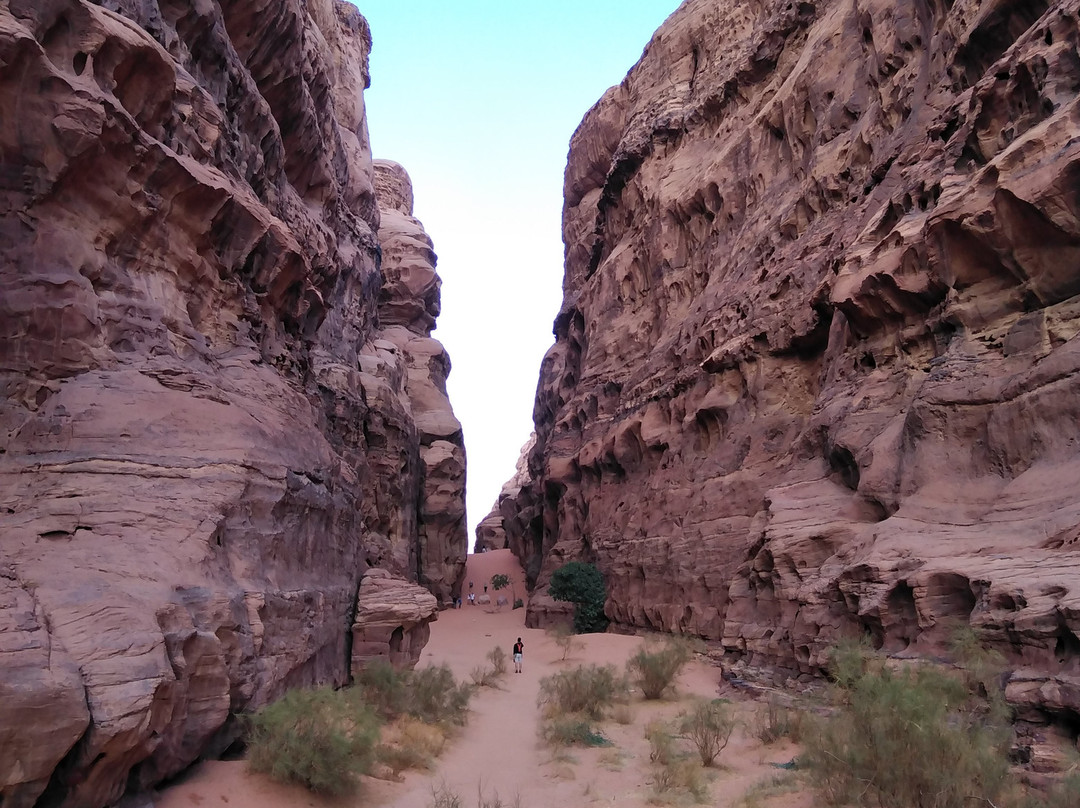 Wadi Rum Guide景点图片