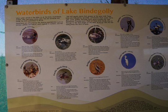 Lake Bindegolly National Park-Thargomindah必去景点