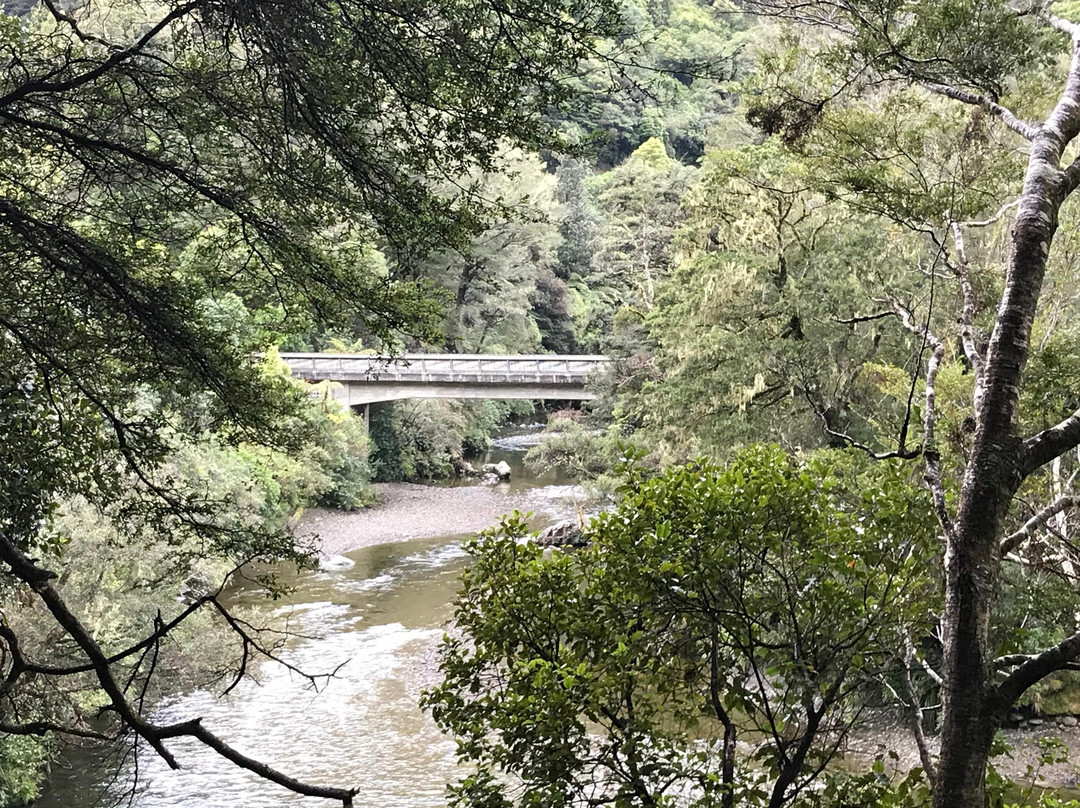 Talk of the Town Tours-惠灵顿必去景点