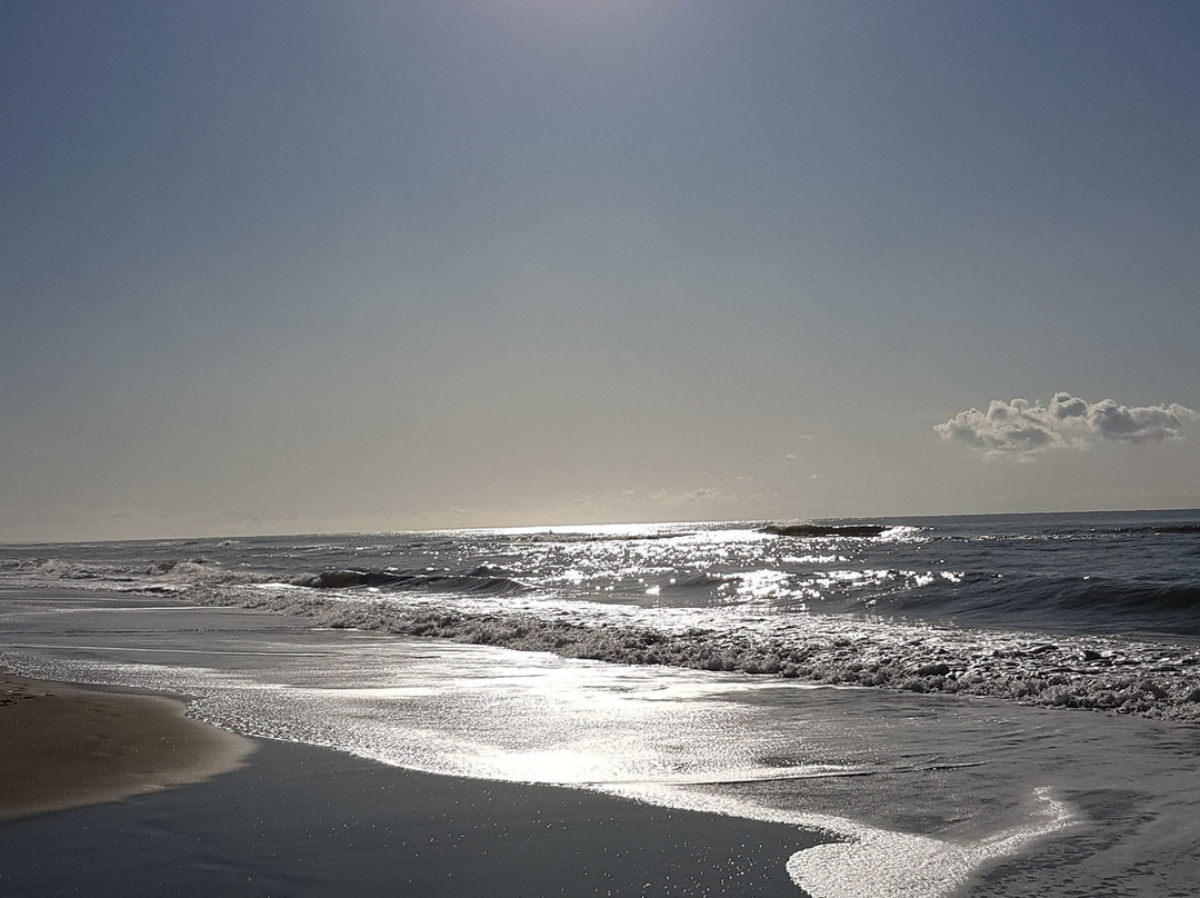 Oasi Naturista Capocotta-Lido di Ostia必去景点