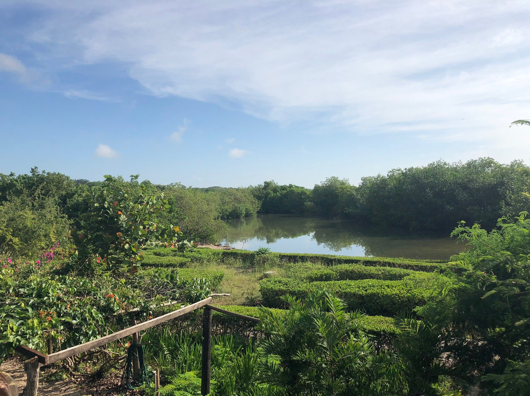 Hotel Playa Manglares主图