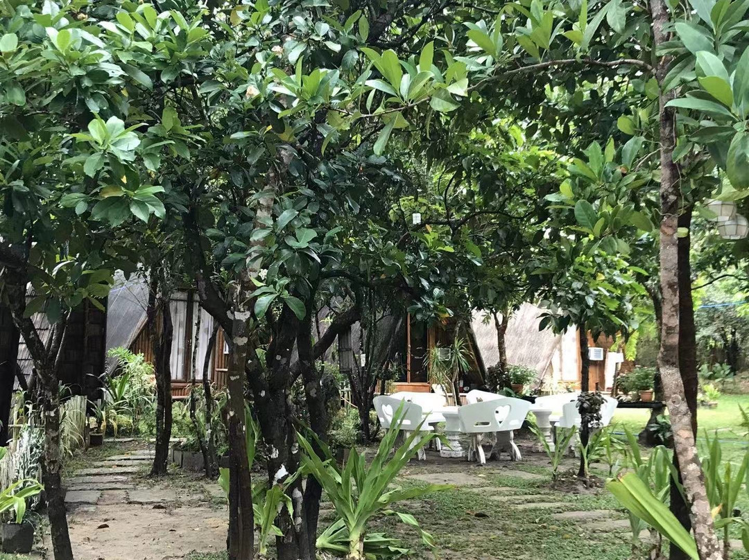 Balili Farm At Nacpan主图