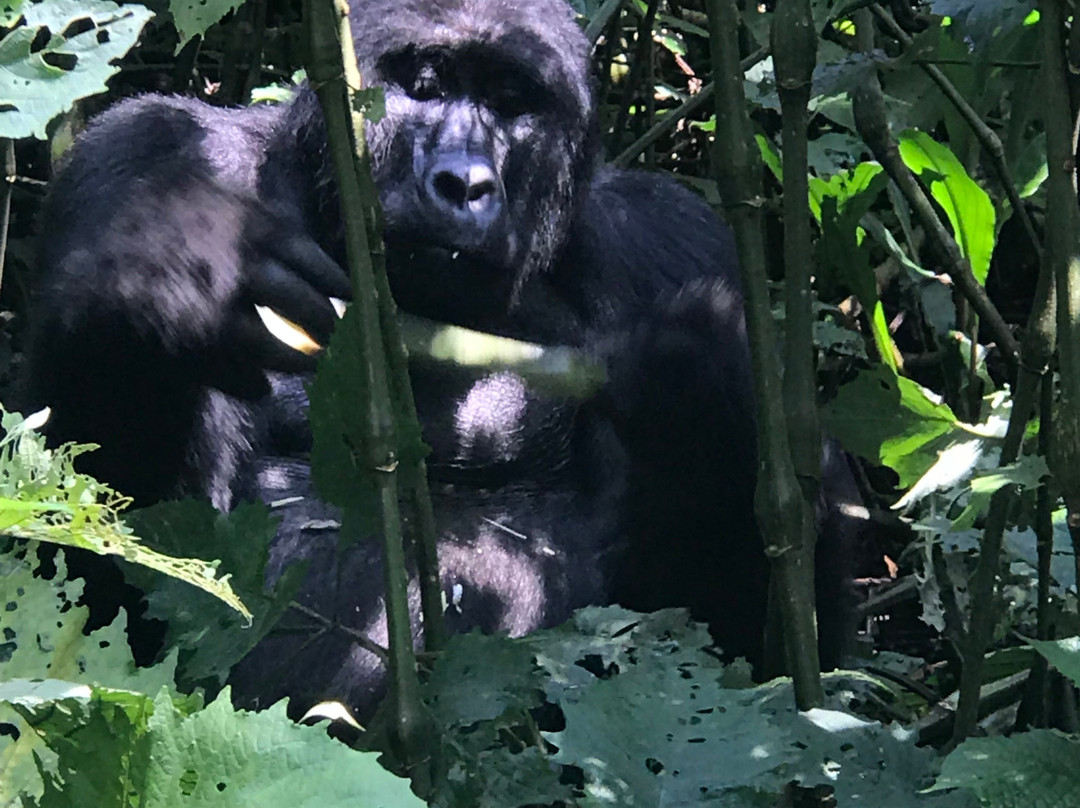 Sandfield Travel-坎帕拉必去景点