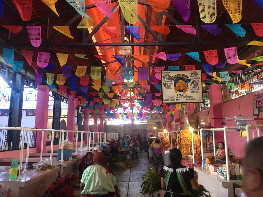 Journeys Beyond the Surface - Oaxaca景点图片