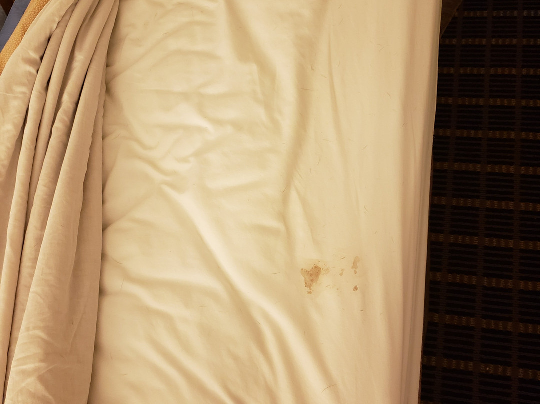 Quincy Inn & Suites主图