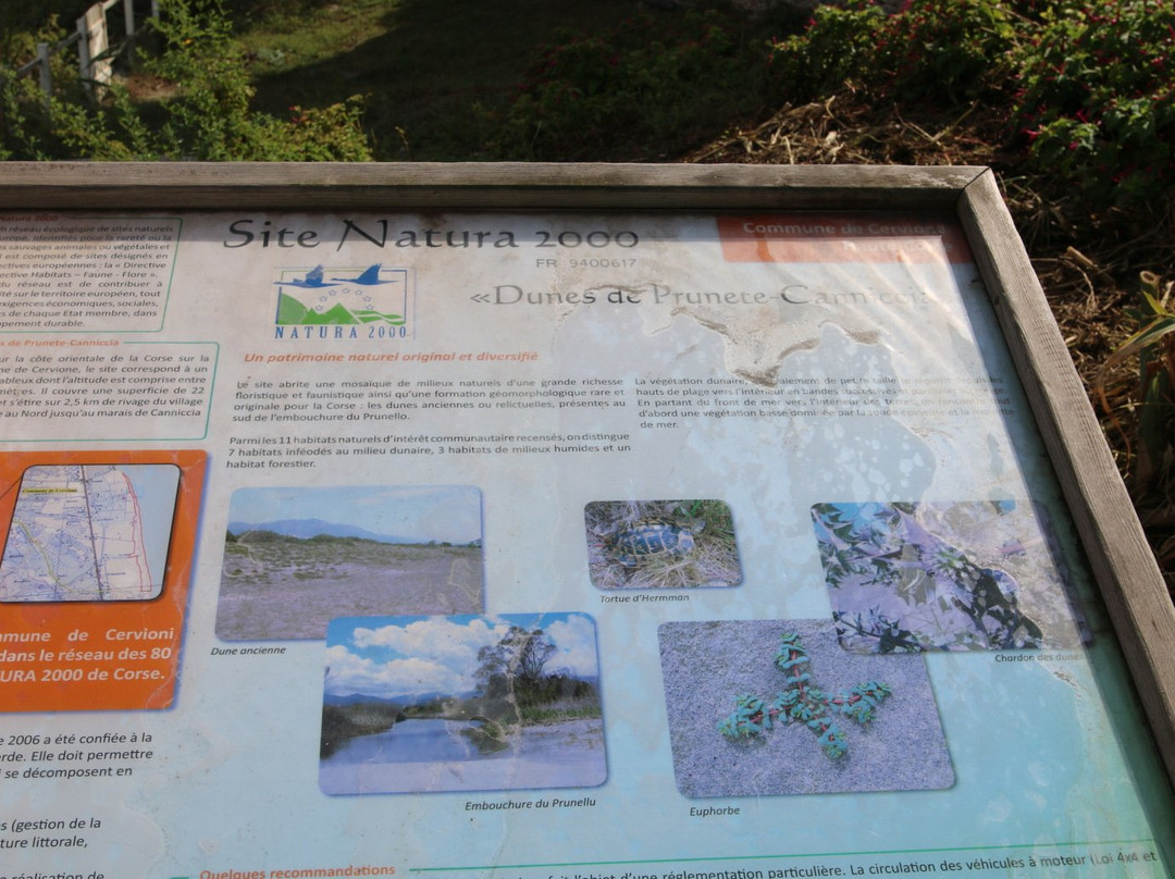 Plage de Prunete景点图片