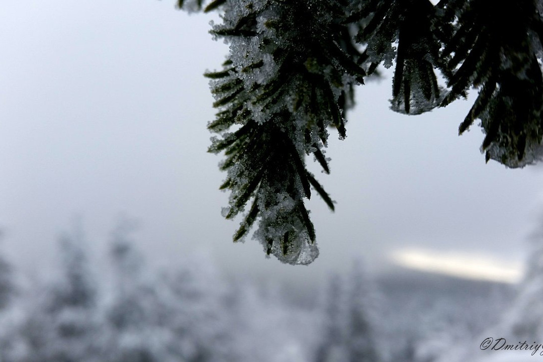 Kachkanar Mountain-Kachkanar必去景点