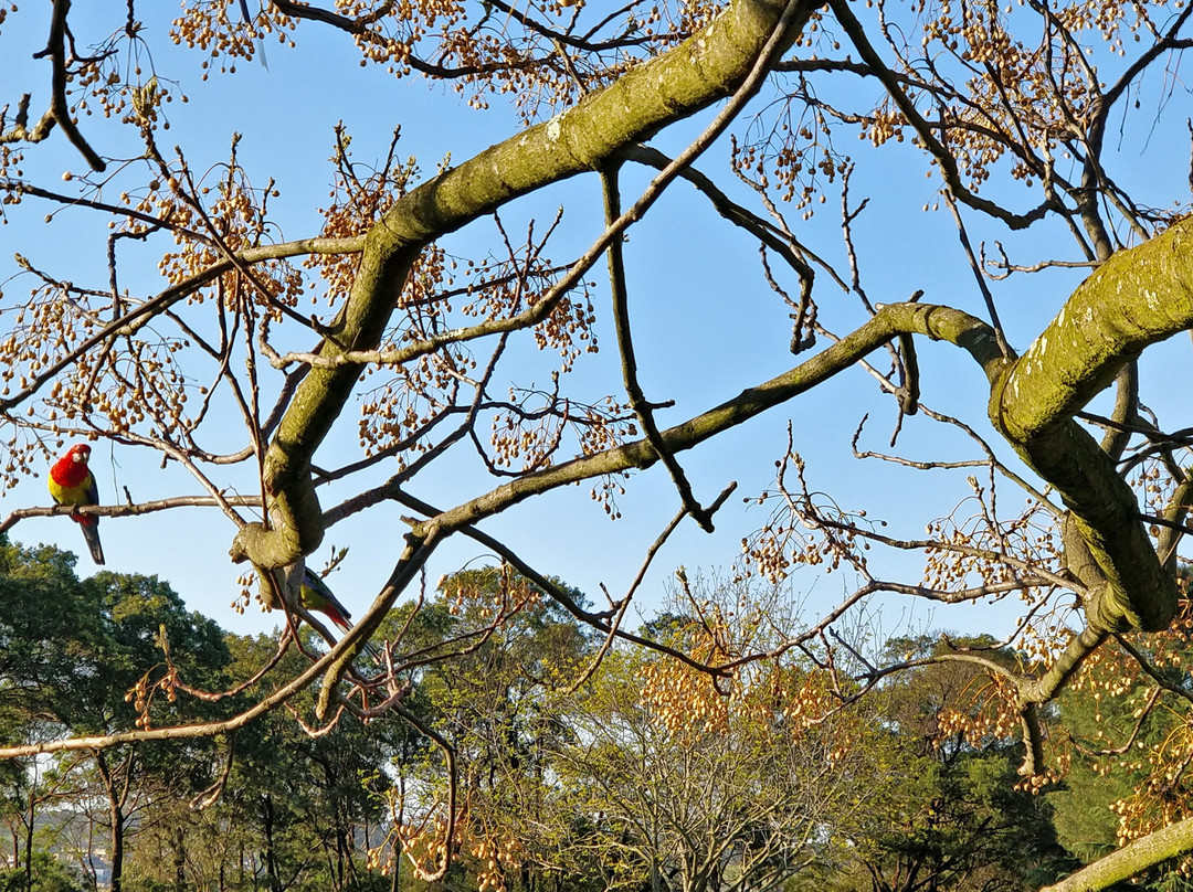 Wilson Botanic Park-伯威克必去景点