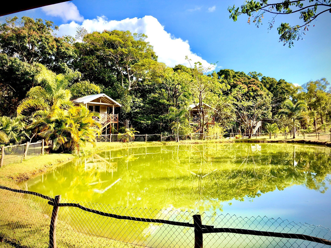Farino Lodge