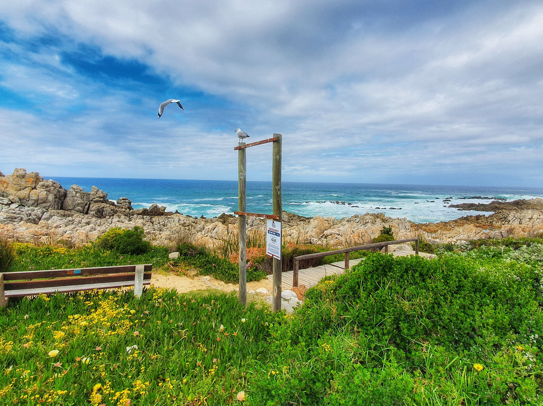 Kleinmond Beach-小月必去景点