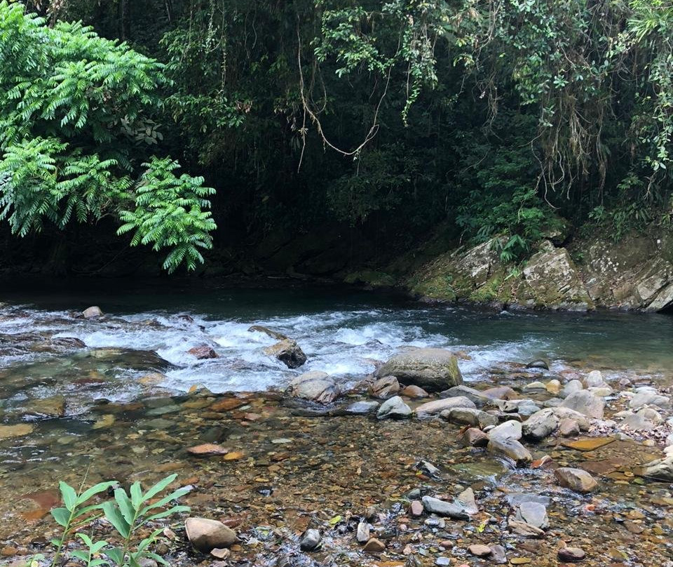 PETAR - Parque Estadual Turistico do Alto Ribeira-伊波兰加必去景点