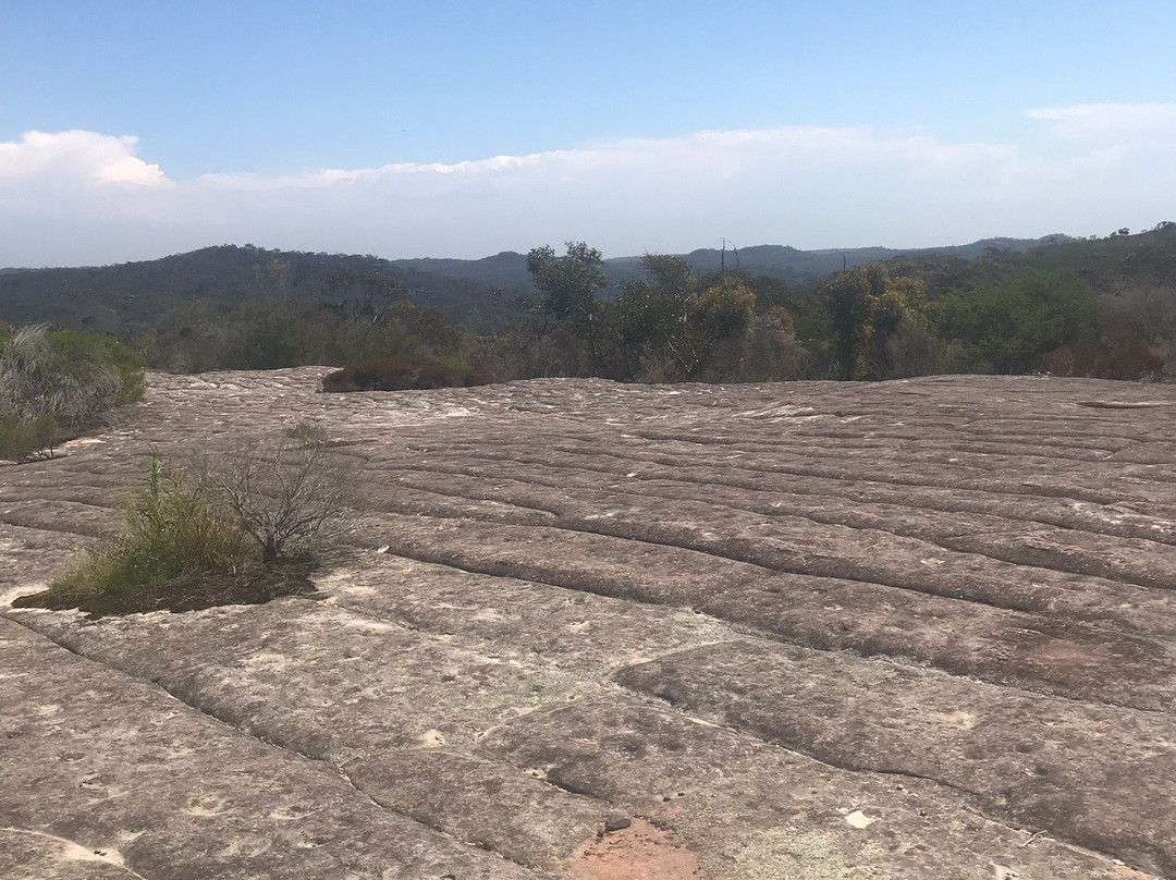 Sydney Outback景点图片