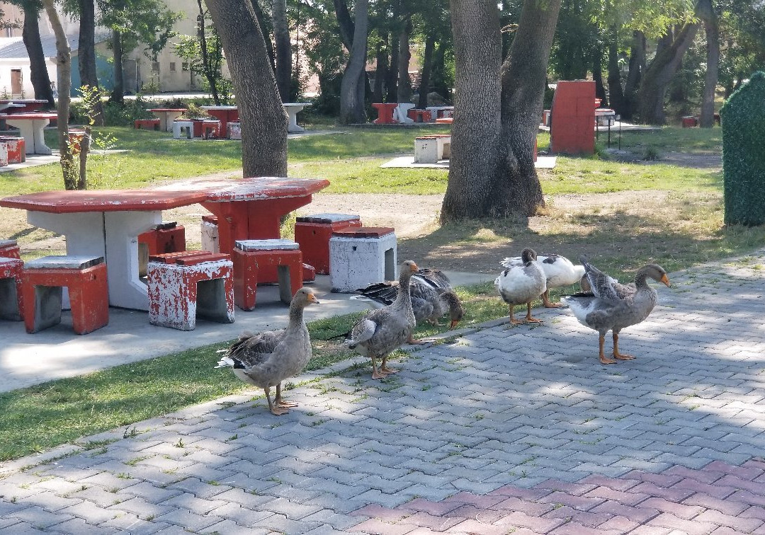 Cakirlar Korusu-Cakirlar Yali必去景点