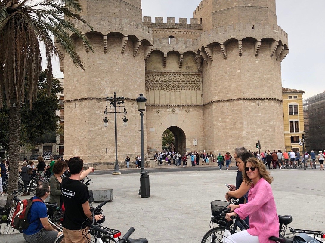 Valencia Bikes-巴伦西亚必去景点