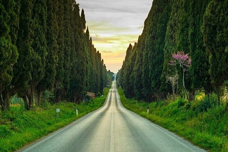 Tuscany Travelling - Transfers & Tours-比萨必去景点