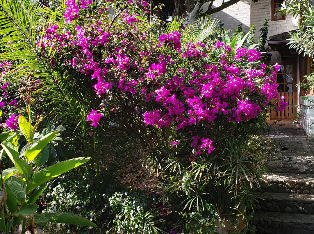 Casa Magnolia Cumbayá主图