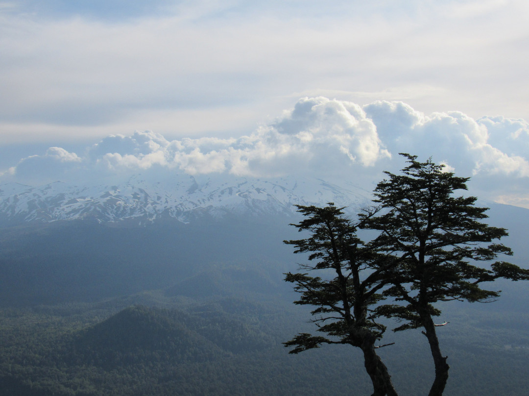Teleferico Condor Andino-耐尔杜美必去景点