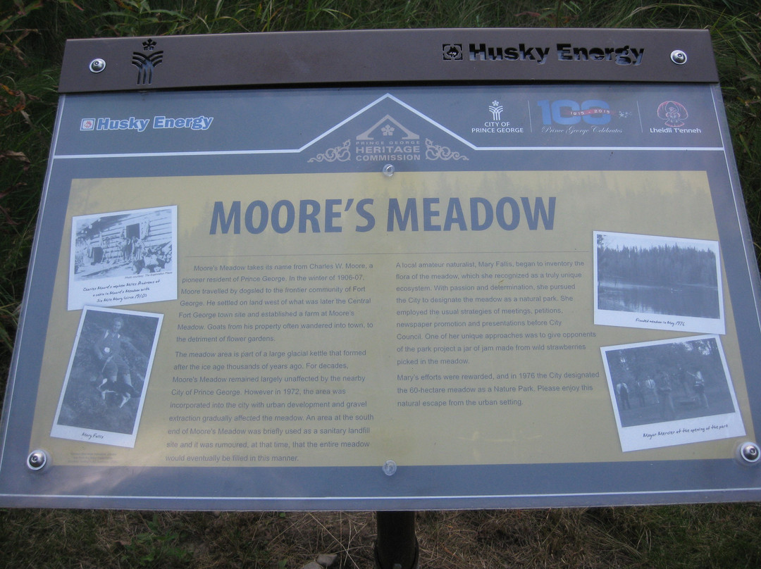 Moore's Meadow Park景点图片