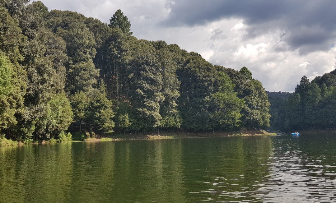 Presa del  Llano景点图片